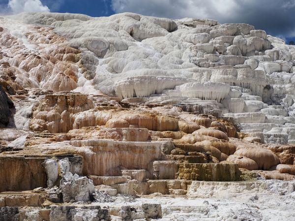 Mammoth Hot Springs